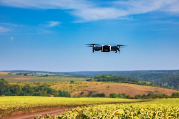 Drone sedang mengawasi lahan pertanian