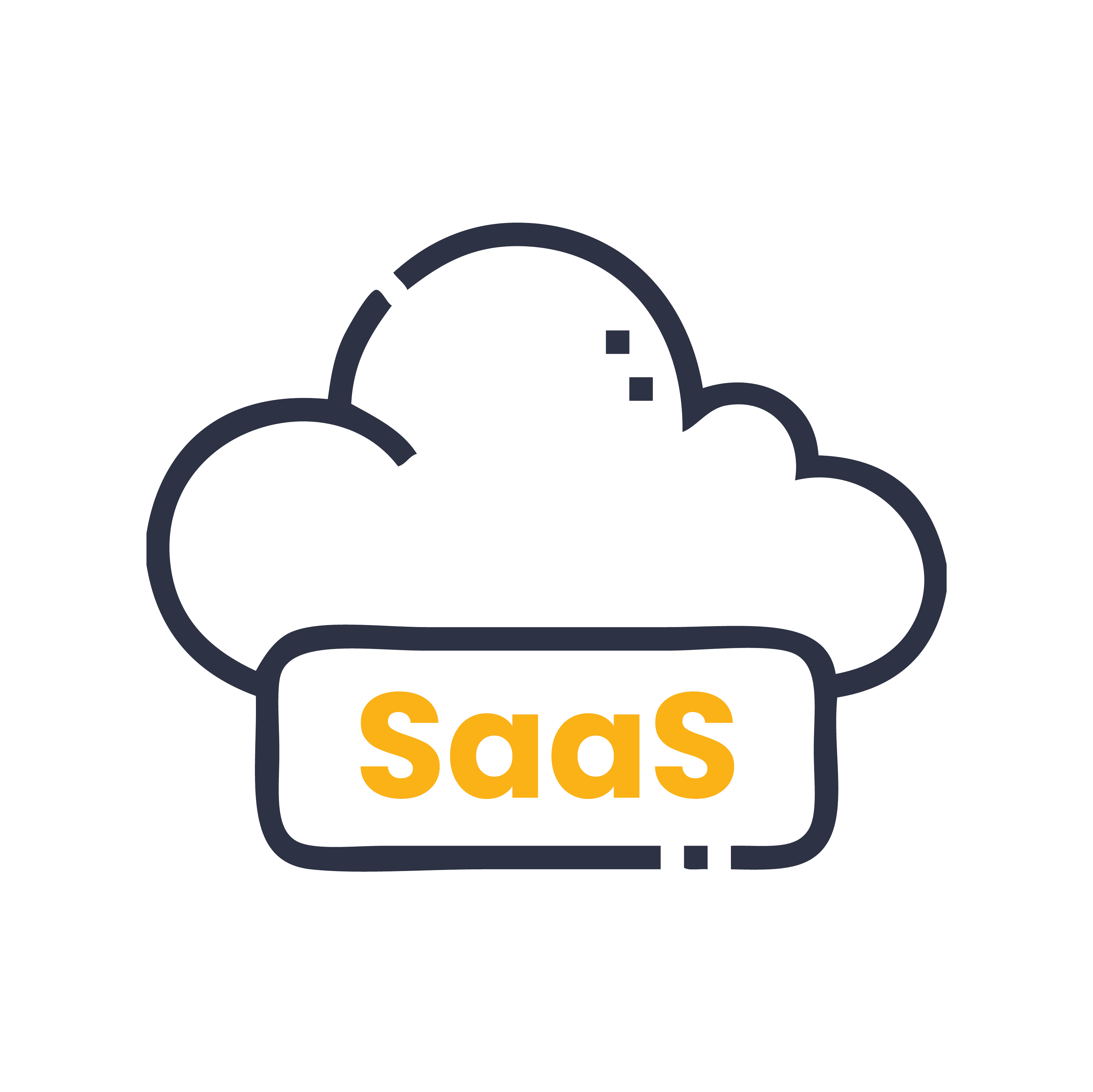 Software as a Service (SaaS)